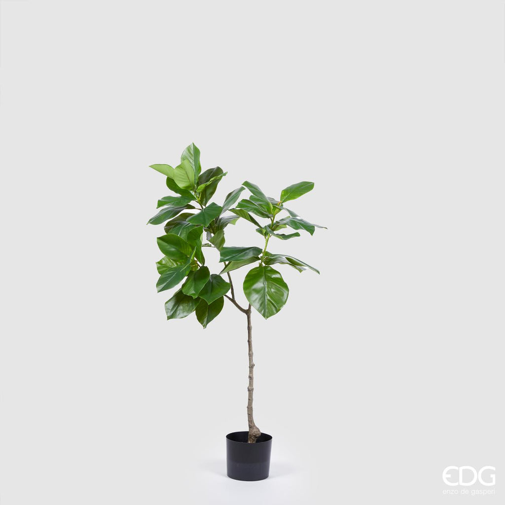 EDG - Enzo de Gasperi Pianta artificiale con ficus lyrata con vaso