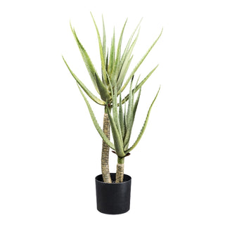 Gasper pianta con vaso Aloe Vera H105 cm