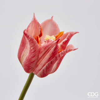 EDG Enzo De Gasperi Tulipano Olis Fiorito 3 Fiori H48 cm Rosa Sfumato