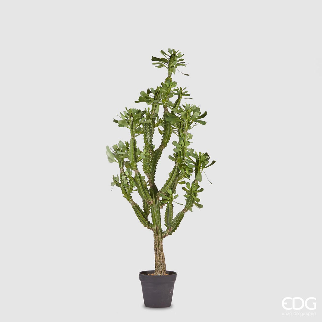 EDG Enzo De Gasperi Pianta di Cactus West con Vaso H148 cm – Le Gioie