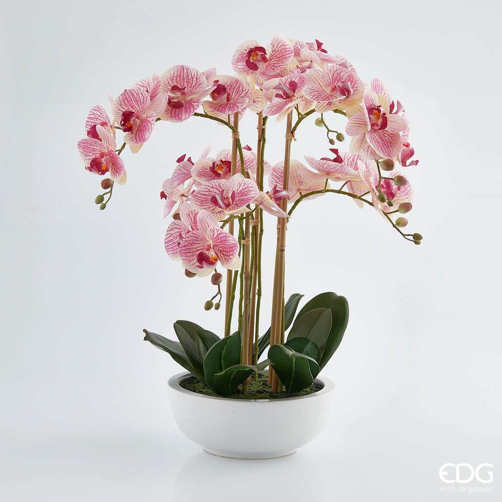 FagusHome 6 Pz Fiori Orchidea Phalaenopsis Fiori Artificiali 80cm con 5 Pz Fogli FagusHome 6 Pz Fiori Orchidea Phalaenopsis Fiori Artificiali 80cm con 5 Pz Fogli