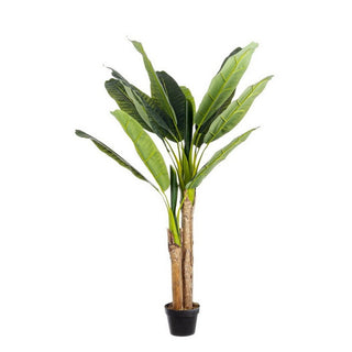 Andrea Bizzotto Artificial Banana Plant with Pot 14 Leaves H135 cm