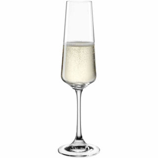 Leonardo Set of 6 Paladino Flute Glasses in Glass 220 ml