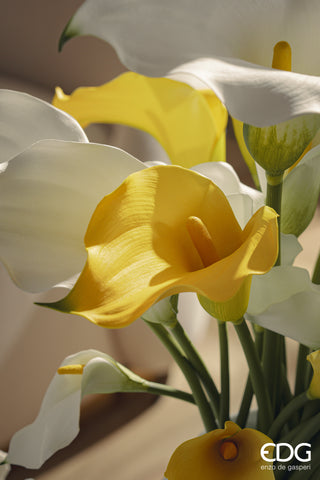 EDG Enzo De Gasperi Ramo di Calla Fiorito H65 cm Giallo