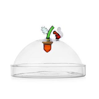 Ichendorf Milano Acorns Alzata con Cupola Ghianda Interna in Vetro Borosilicato