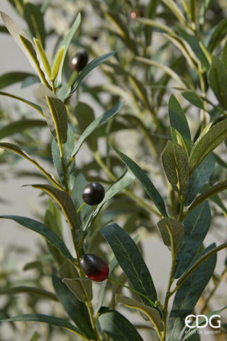 EDG Enzo De Gasperi Pianta Artificiale Olivo Vouge con Vaso H240 cm