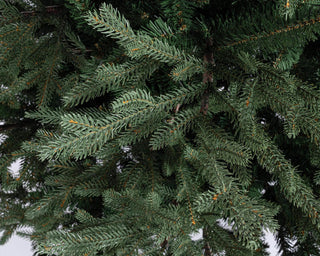 Andrea Bizzotto Albero di Natale Realistico Pino Denali 4278 Rami H210 cm