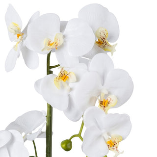 Gasper Orchidea Phalaenopsis Grande con vaso in pvc H70 cm 5 Fiori Bianco