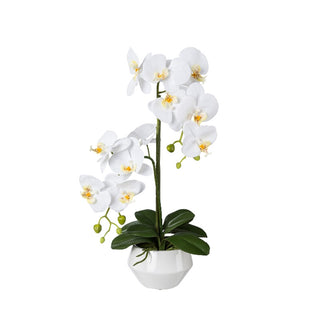 Gasper Pianta Artificiale Phalaenopsis H52 cm con Vaso Bianco
