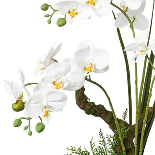 Gasper Orchidea Phalaenopsis con vaso in ceramica H46 cm 3 Fiori Bianca