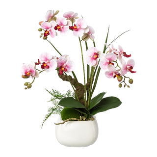 Gasper Orchidea Phalaenopsis con vaso in ceramica H46 cm 3 Fiori Rosa
