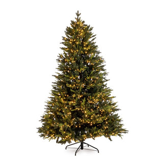 Andrea Bizzotto Weihnachtsbaum aus Berkshire-Kiefer, 9896 Zweige, 3100 LEDs, H 270 cm