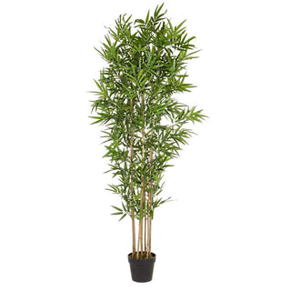Andrea Bizzotto Pianta Artificiale Bamboo con Vaso H185 cm