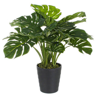 Andrea Bizzotto Philodendron plant with 24 leaves vase H65 cm