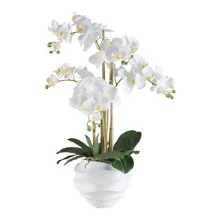 Gasper Orchidea Phalaenopsis Grande con vaso in pvc H70 cm 5 Fiori Bianco