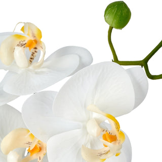Gasper Pianta Artificiale Phalaenopsis H38 cm Real Touch con Vaso