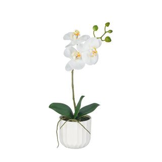 Gasper Pianta Artificiale Phalaenopsis H38 cm Real Touch con Vaso