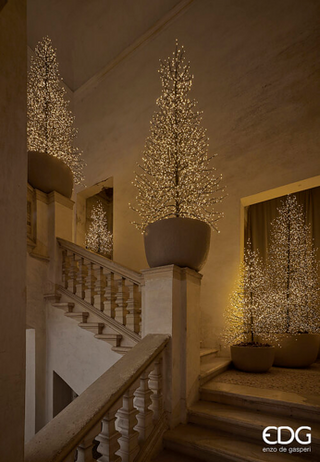 EDG Enzo De Gasperi LED Tree Beech Rich Imperial 6590 microled H300 Schwarz