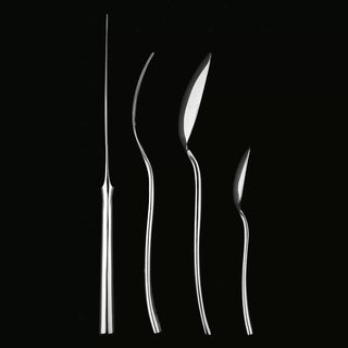 Guzzini 24-piece cutlery set in stainless steel