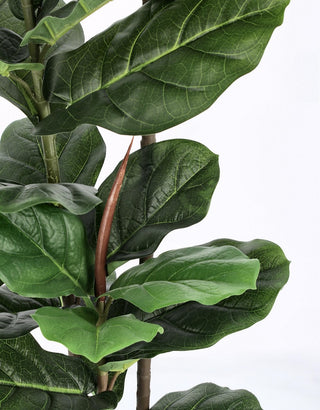 Andrea Bizzotto Artificial Ficus Lyrata Plant with 39-Leaf Pot, H145 cm