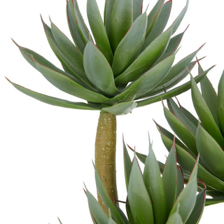 Gasper Pianta di Agave Glow H28 cm con Vaso