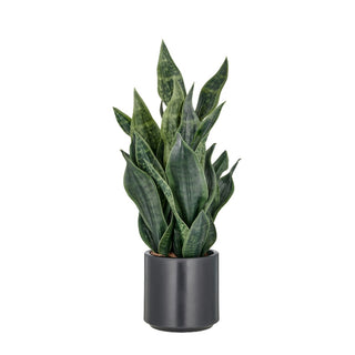 Gasper Pianta Artificiale Sanseveria Stripes H66 cm con Vaso
