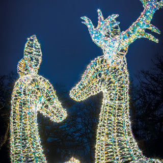 L'Oca Nera Sogno D'Inverno Decoro Renna Queen 4400 Led