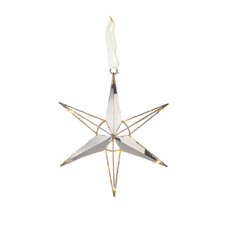 The Black Goose Star Christmas Decoration with 20 LEDs