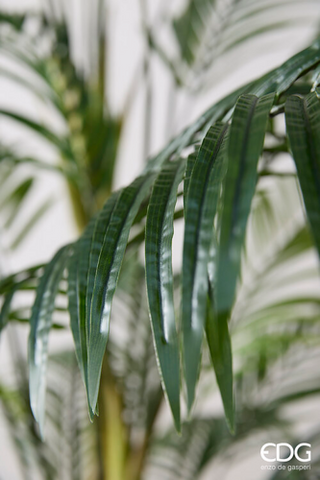 EDG Enzo De Gasperi Pianta Artificiale Palma Areca Vogue con Vaso H250 cm