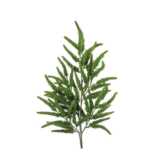 L'Oca Nera Ramo Pino H100 cm Verde