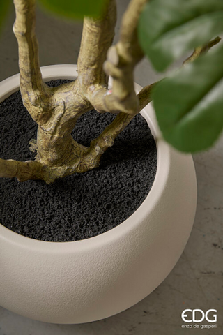 EDG Enzo De Gasperi Pianta Artificiale Aralia Vogue con Vaso H230 cm