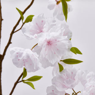 EDG Enzo De Gasperi Ramo di Pesco Giapponese Sakura con Foglie H115 cm