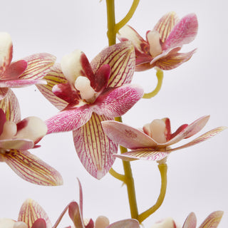 EDG Enzo De Gasperi Set of 4 Mini Oncidium Orchid Branches H90 cm