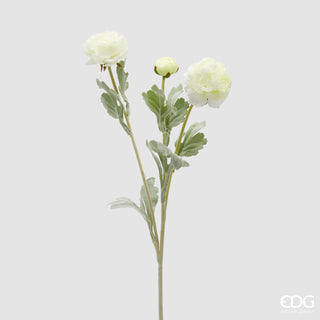 EDG Enzo De Gasperi Ranunculus Branch 3 Flowers H 50cm White