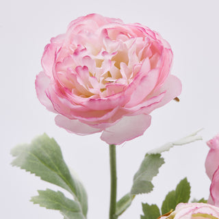 EDG Enzo De Gasperi Rama de ranúnculo rosa Al. 65 cm