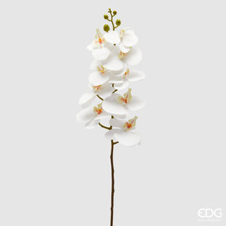 EDG Rama de Orquídea Phalaenopsis Enzo De Gasperi Al. 94 cm Blanco