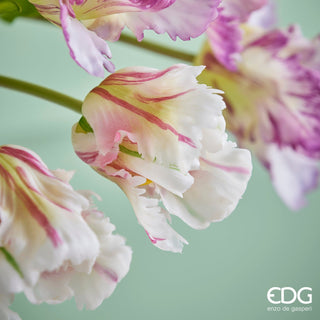 EDG Enzo De Gasperi Tulipano Parrot 3 Fiori H51 cm Bianco e Fucsia