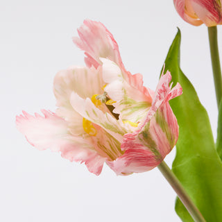 EDG Enzo De Gasperi Tulip Parrot 3 Flowers H51 cm Pink