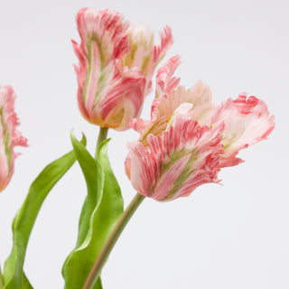 EDG Enzo De Gasperi Tulip Parrot 3 Flowers H51 cm Pink