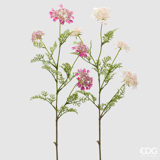 EDG Enzo De Gasperi Set 2 Rami Daucus Carota H100 cm Rosa