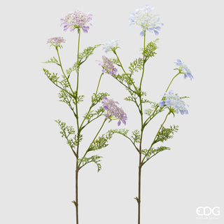 EDG Enzo De Gasperi Set 2 Rami Daucus Carota H100 cm Viola
