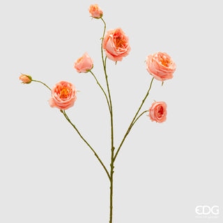 EDG Enzo De Gasperi Ramo Rosa con Foglie H100 cm Salmone