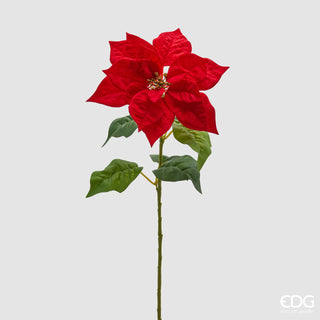 EDG Enzo De Gasperi Stella di Natale Real H70 cm