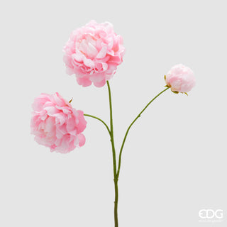 EDG Enzo De Gasperi Ramo di Peonia H67 cm Rosa Scuro