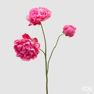 EDG Enzo De Gasperi Ramo di Peonia H67 cm Fucsia
