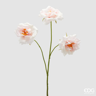 EDG Enzo De Gasperi Ramo di Rosa H65 cm Sfumatore Rosa