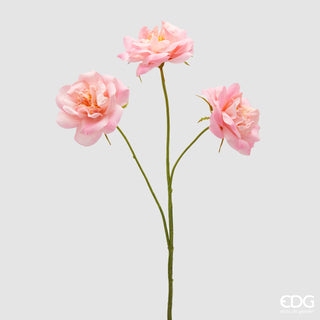 EDG Enzo De Gasperi Ramo di Rosa H65 cm Rosa Scuro