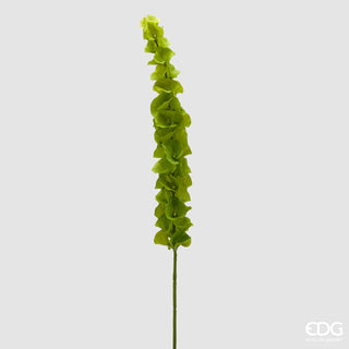 EDG Enzo De Gasperi Molucella Branch H108 cm