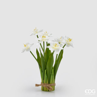 EDG Enzo De Gasperi Mazzo di Narciso con Foglie H28 cm Bianco