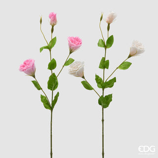 EDG Enzo De Gasperi Set 2 Rami di Lisiantus H71 cm Bianco e Rosa